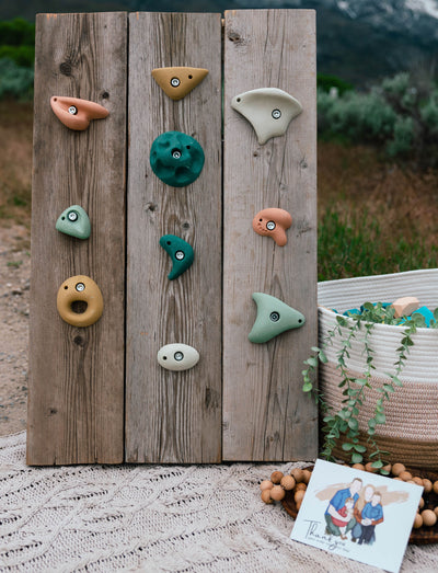 Premium Rock Climbing Holds (Earth Tones) - Everett & Avery Co. - Indoor Climbing Wall - Rock Climbing Holds for Kids My Store