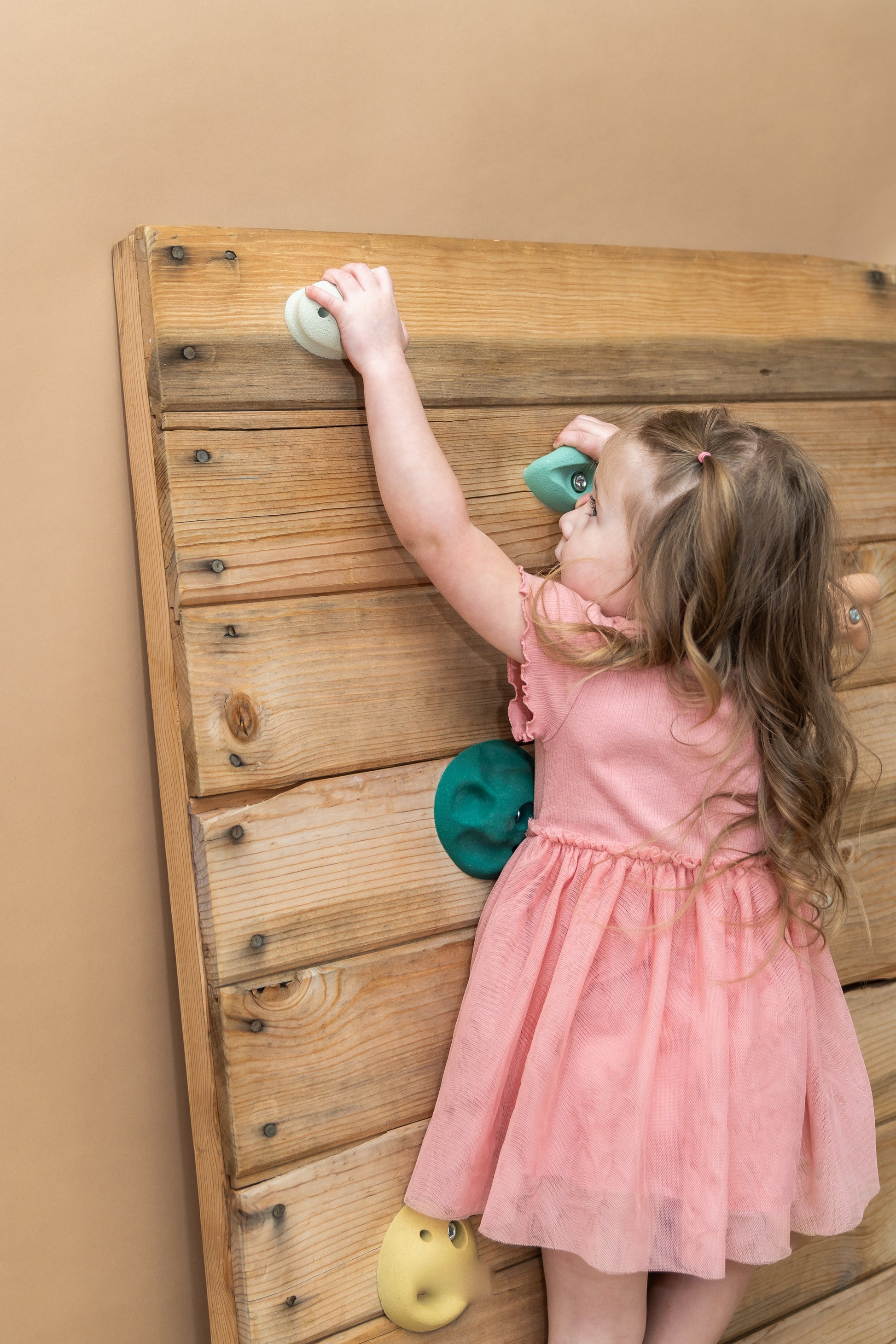 Full Wall Adventure (Earth Tones) Everett & Avery Co.