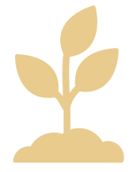 Grows With Your Child